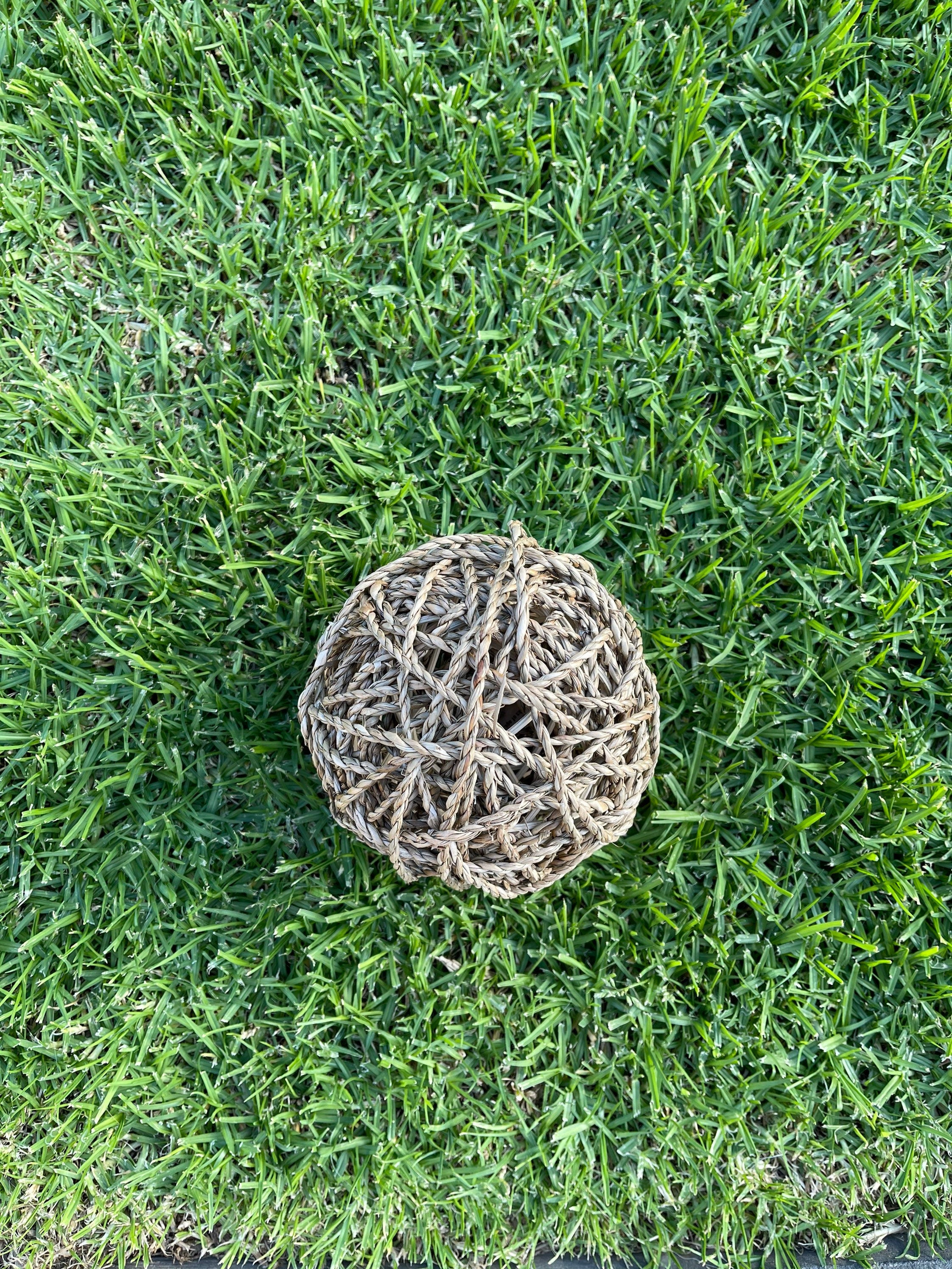Seagrass Ball Resilient Bunny Treats