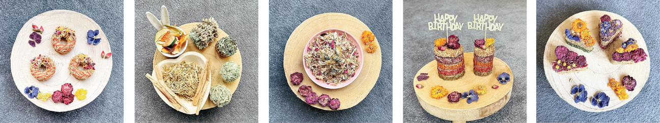 Pododermatitis in Rabbit – Resilient Bunny Treats