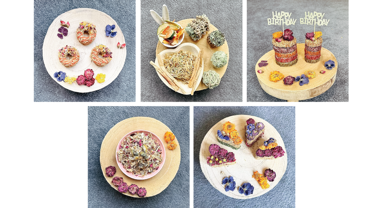 Pododermatitis in Rabbit – Resilient Bunny Treats