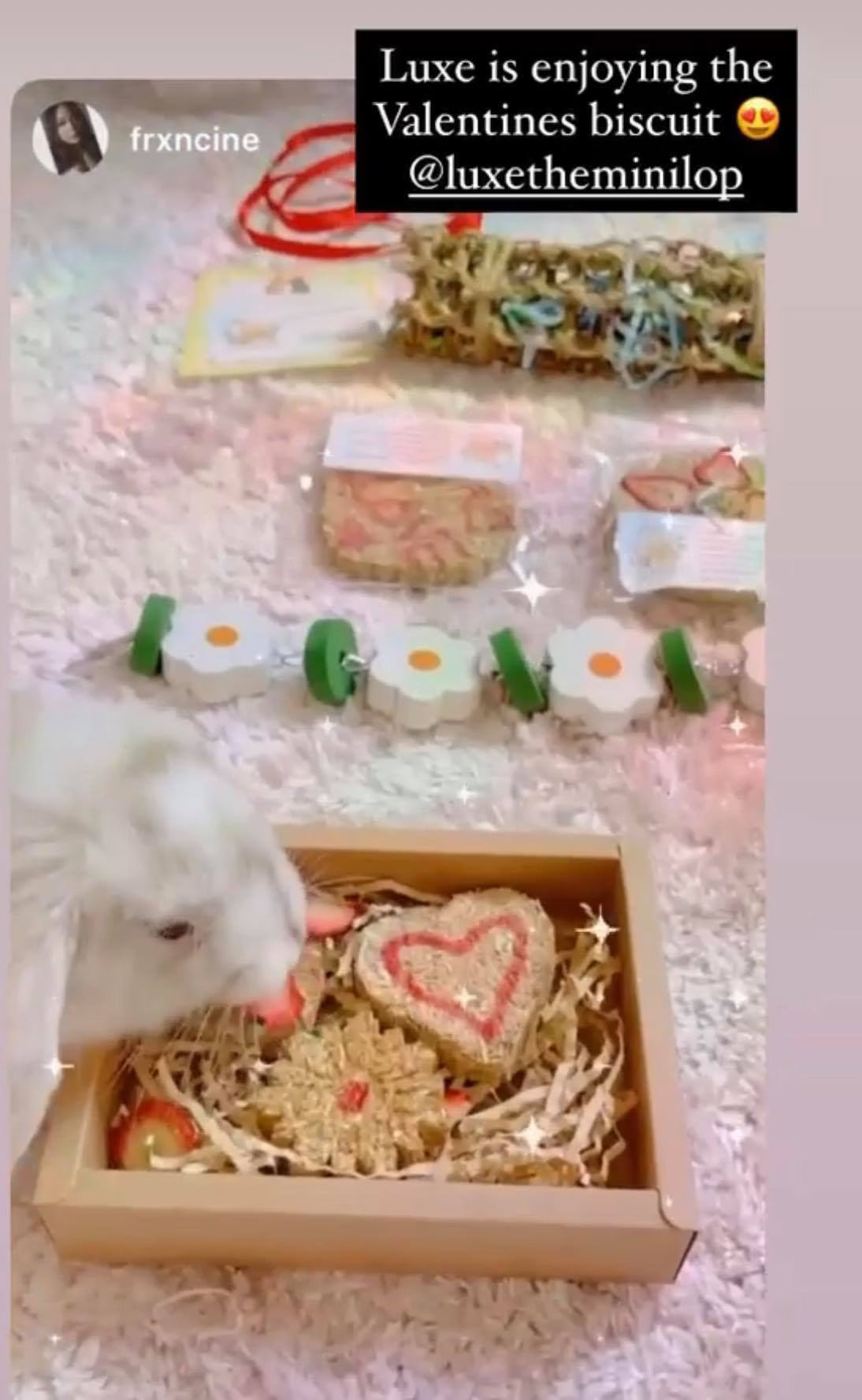 Gallery of 100% Natural Treats for Rabbits and Guinea Pigs – Resilient ...