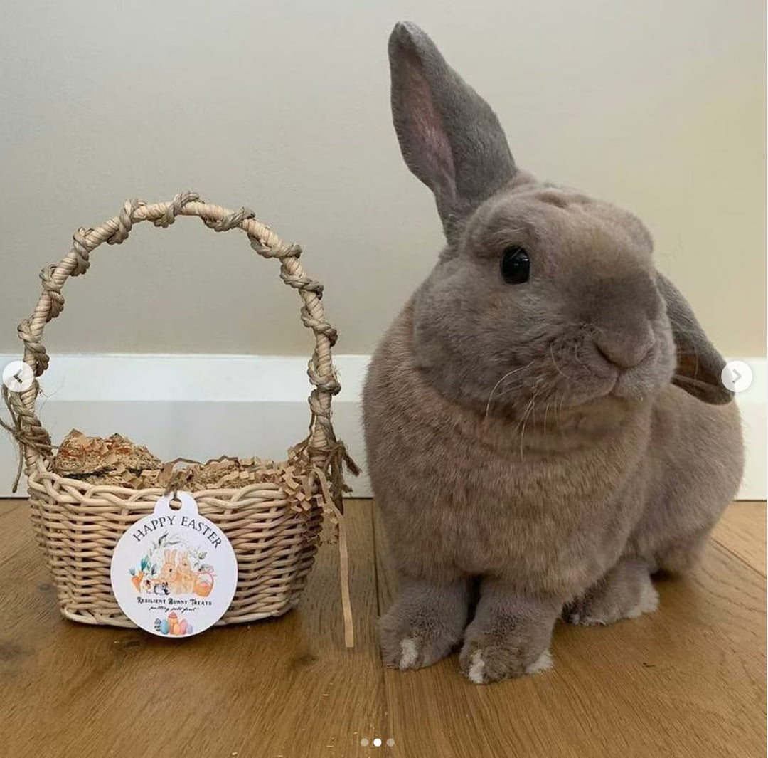 Gallery of 100% Natural Treats for Rabbits and Guinea Pigs – Resilient ...