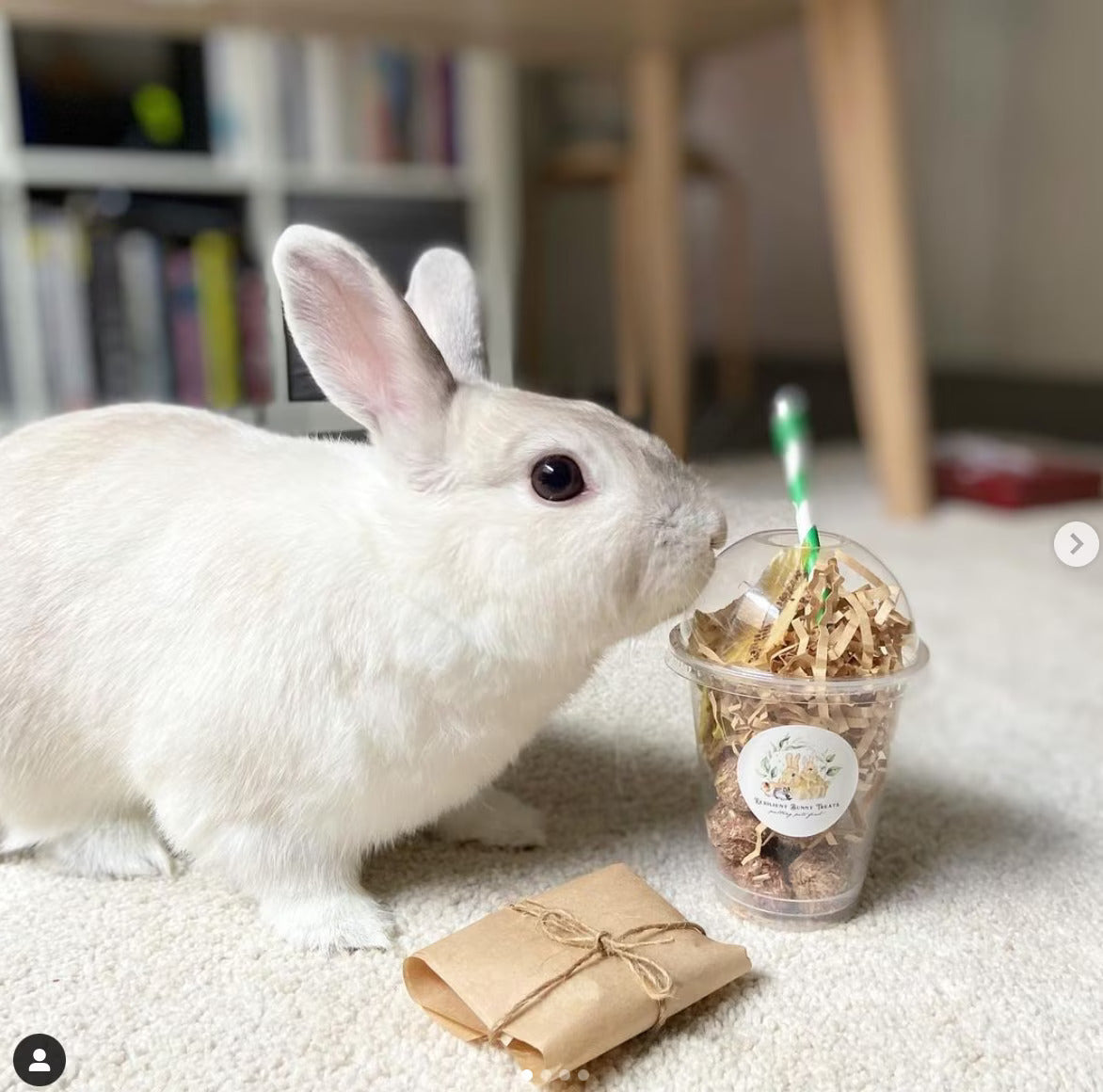 Gallery of 100% Natural Treats for Rabbits and Guinea Pigs – Resilient ...