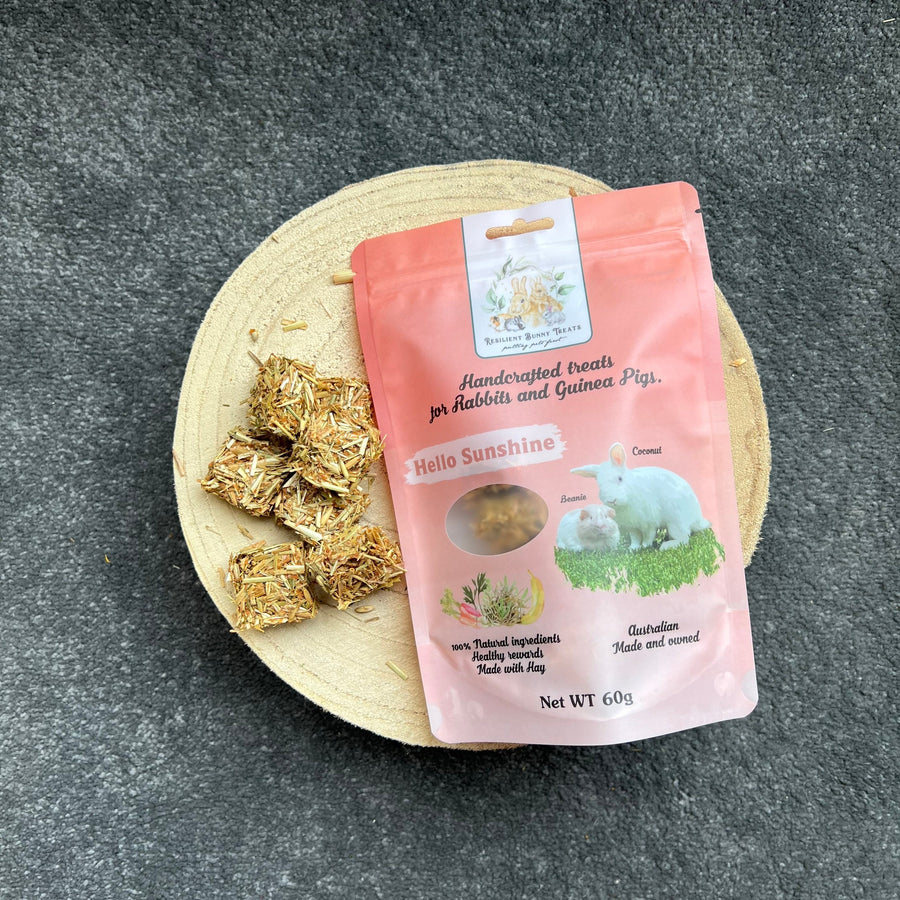 Handmade Natural Treats for Rabbits and Guinea Pigs Australia ...